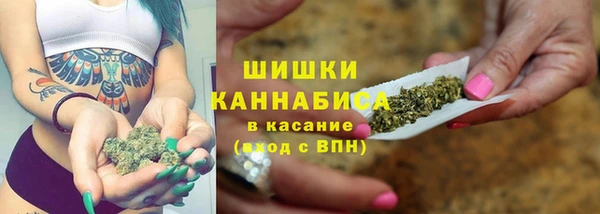 гидра Арсеньев