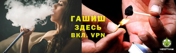 прущие грибы Абинск