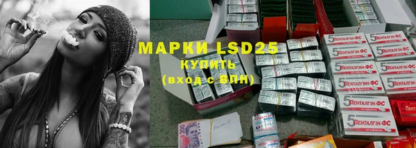 прущие грибы Абинск