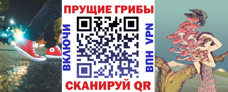 Псилоцибиновые грибы мухоморы  Жуковский 